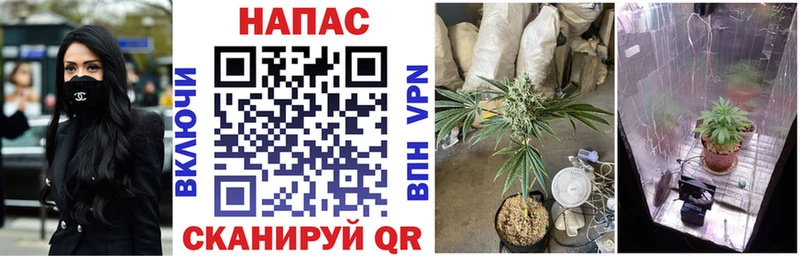 Купить Экстази  Бошки Шишки  COCAIN  Alpha PVP  Галлюциногенные грибы  Гашиш  Мефедрон  АМФ  Иваново