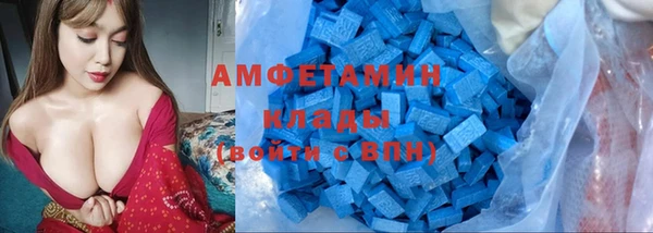 ПСИЛОЦИБИНОВЫЕ ГРИБЫ Каменногорск