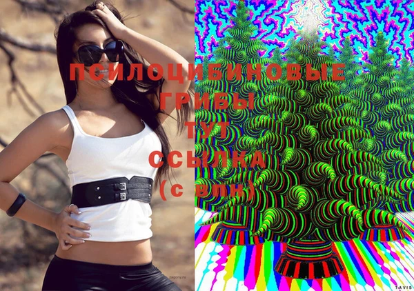кокаин колумбия Каменка