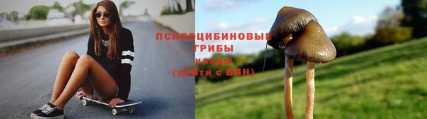 ПСИЛОЦИБИНОВЫЕ ГРИБЫ Каменногорск
