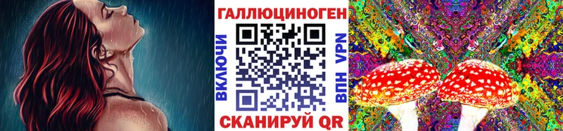 Купить где  Иваново  Псилоцибиновые грибы MAGIC MUSHROOMS 